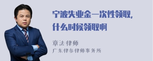 宁波失业金一次性领取, 什么时候领取啊