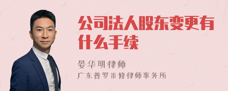 公司法人股东变更有什么手续