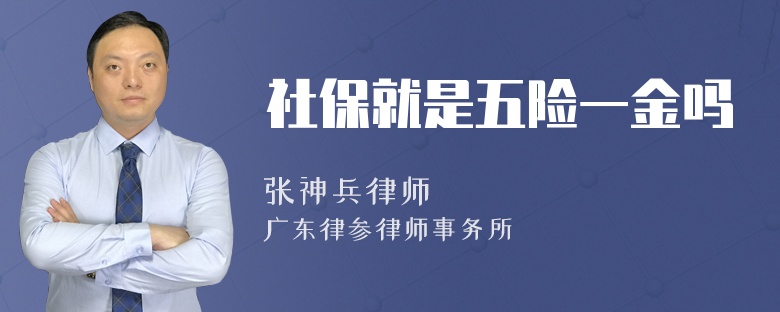 社保就是五险一金吗