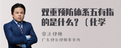 双重预防体系五有指的是什么？（化学