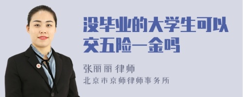 没毕业的大学生可以交五险一金吗