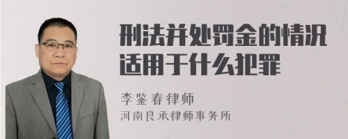 刑法并处罚金的情况适用于什么犯罪