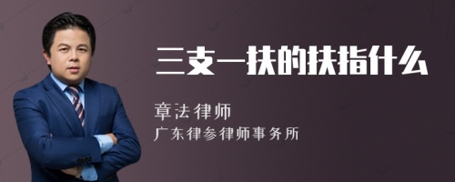 三支一扶的扶指什么