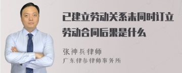 已建立劳动关系未同时订立劳动合同后果是什么