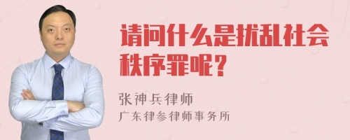 请问什么是扰乱社会秩序罪呢？