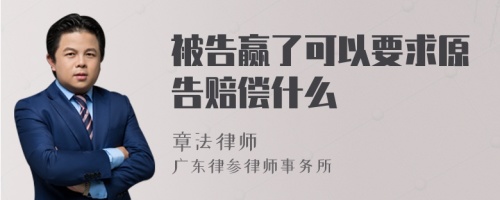 被告赢了可以要求原告赔偿什么