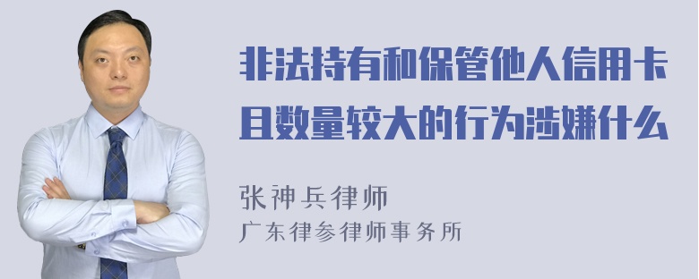 非法持有和保管他人信用卡且数量较大的行为涉嫌什么