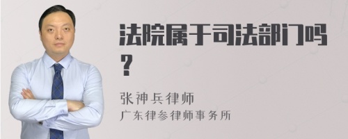 法院属于司法部门吗？