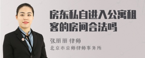 房东私自进入公寓租客的房间合法吗