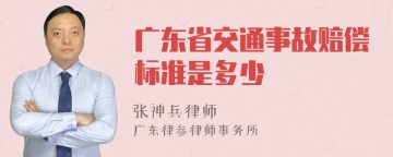 广东省交通事故赔偿标准是多少