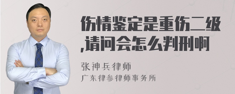 伤情鉴定是重伤二级,请问会怎么判刑啊