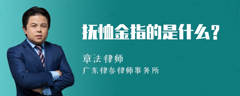 抚恤金指的是什么？