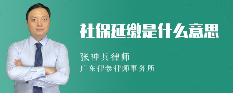 社保延缴是什么意思