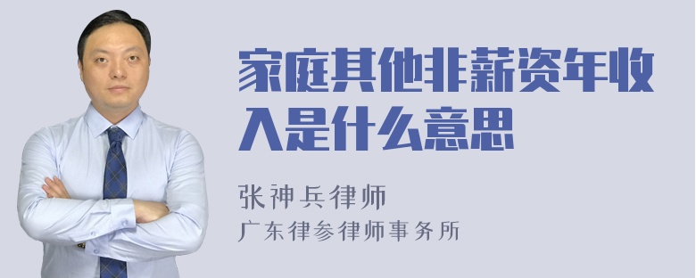 家庭其他非薪资年收入是什么意思