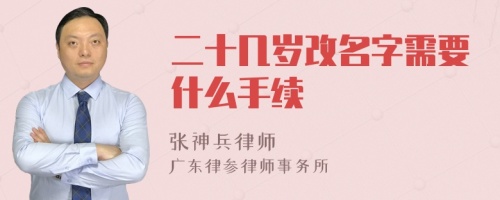 二十几岁改名字需要什么手续