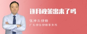 逐月政策出来了吗