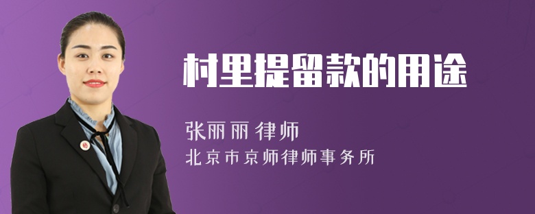 村里提留款的用途