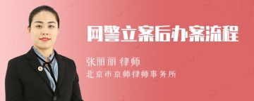 网警立案后办案流程