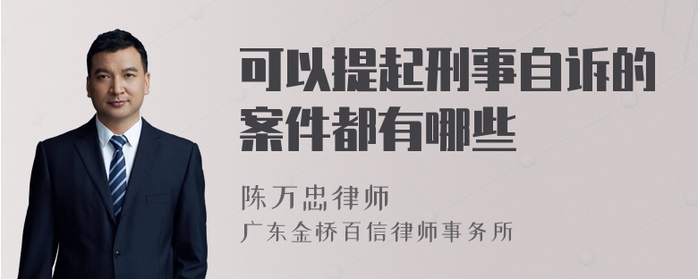 可以提起刑事自诉的案件都有哪些