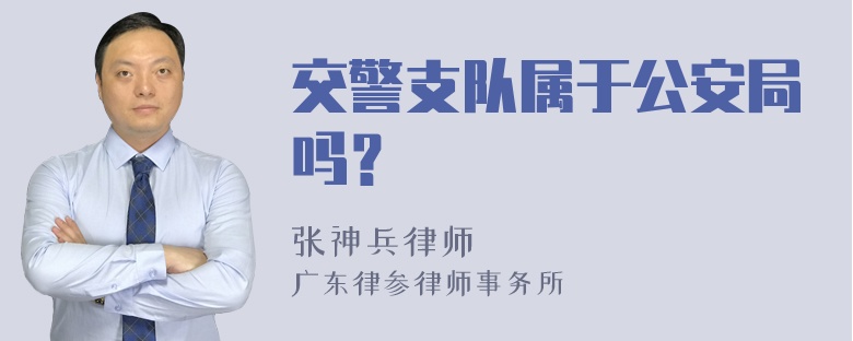 交警支队属于公安局吗？