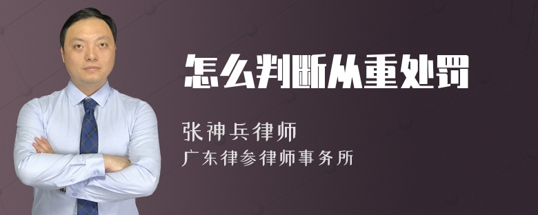 怎么判断从重处罚