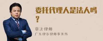 委托代理人是法人吗？