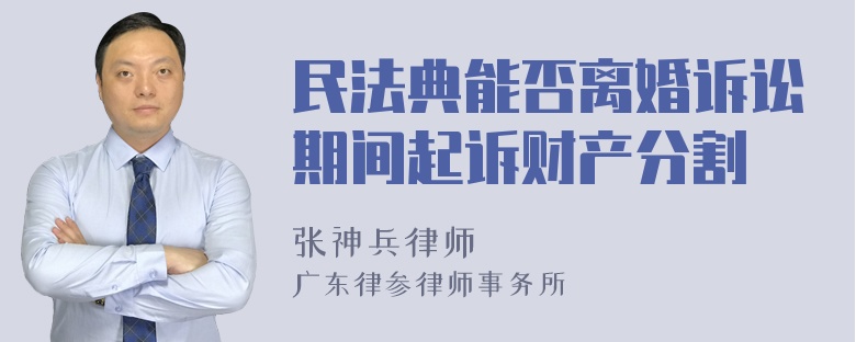 民法典能否离婚诉讼期间起诉财产分割