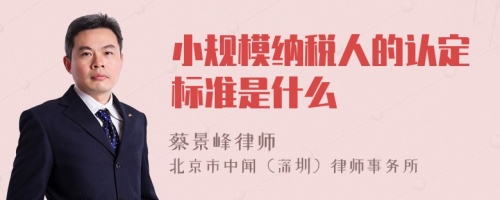 小规模纳税人的认定标准是什么