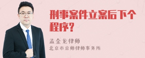 刑事案件立案后下个程序?