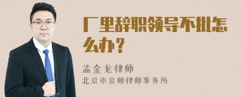 厂里辞职领导不批怎么办？