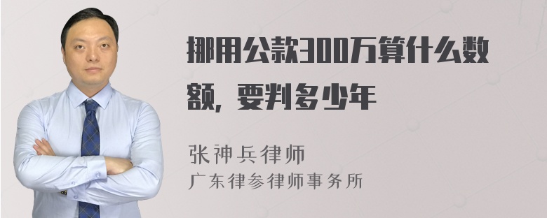 挪用公款300万算什么数额, 要判多少年