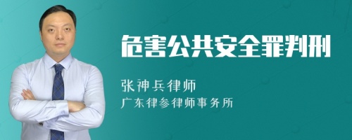 危害公共安全罪判刑