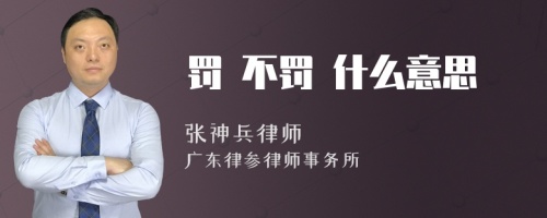 罚 不罚 什么意思