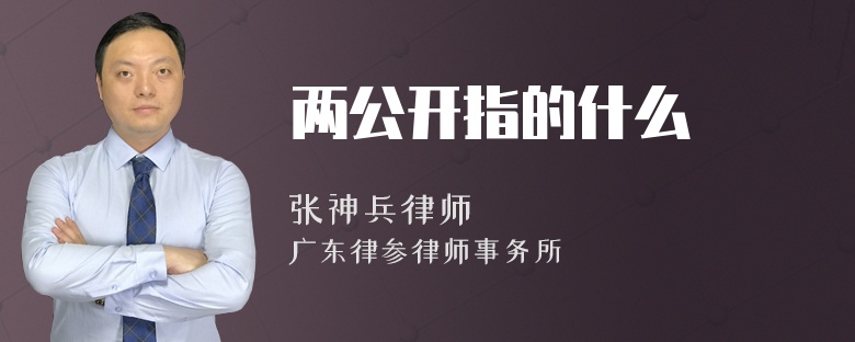 两公开指的什么