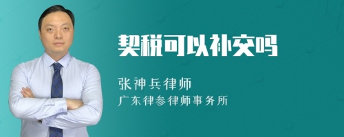 契税可以补交吗