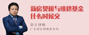 新房契税与维修基金什么时候交