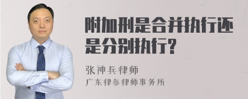 附加刑是合并执行还是分别执行?