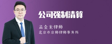 公司强制清算