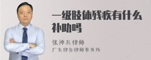 一级肢体残疾有什么补助吗