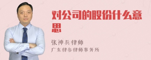 对公司的股份什么意思