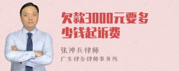 欠款3000元要多少钱起诉费