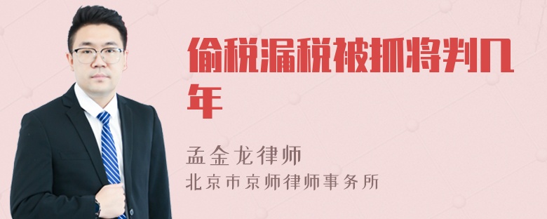 偷税漏税被抓将判几年