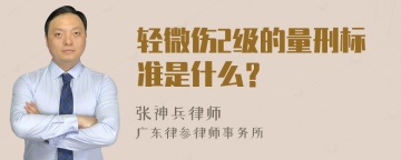 轻微伤2级的量刑标准是什么？