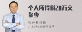 个人所得税20万交多少