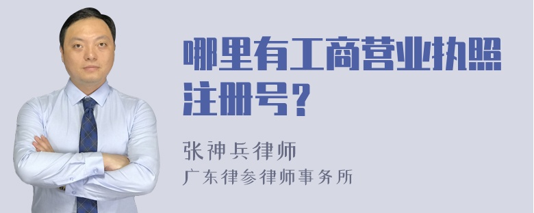 哪里有工商营业执照注册号？