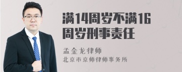 满14周岁不满16周岁刑事责任