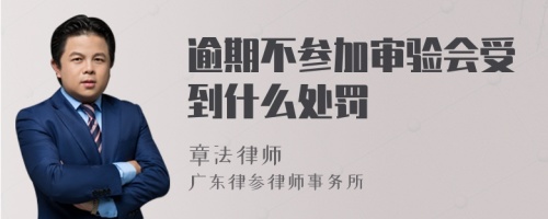 逾期不参加审验会受到什么处罚