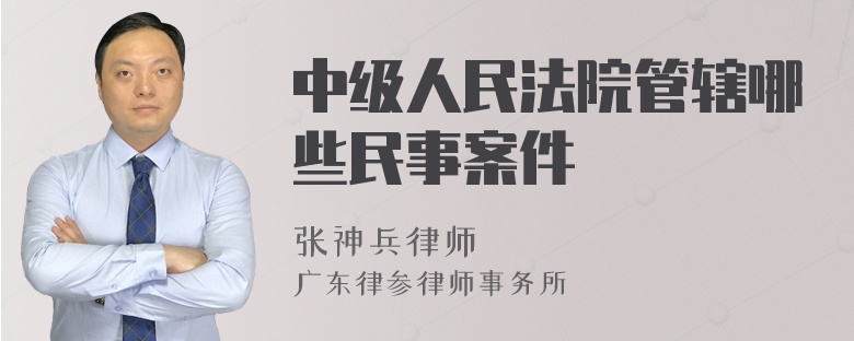 中级人民法院管辖哪些民事案件