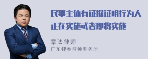 民事主体有证据证明行为人正在实施或者即将实施