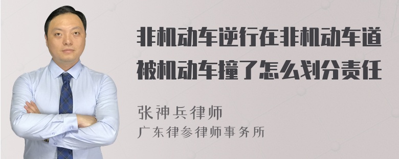 非机动车逆行在非机动车道被机动车撞了怎么划分责任